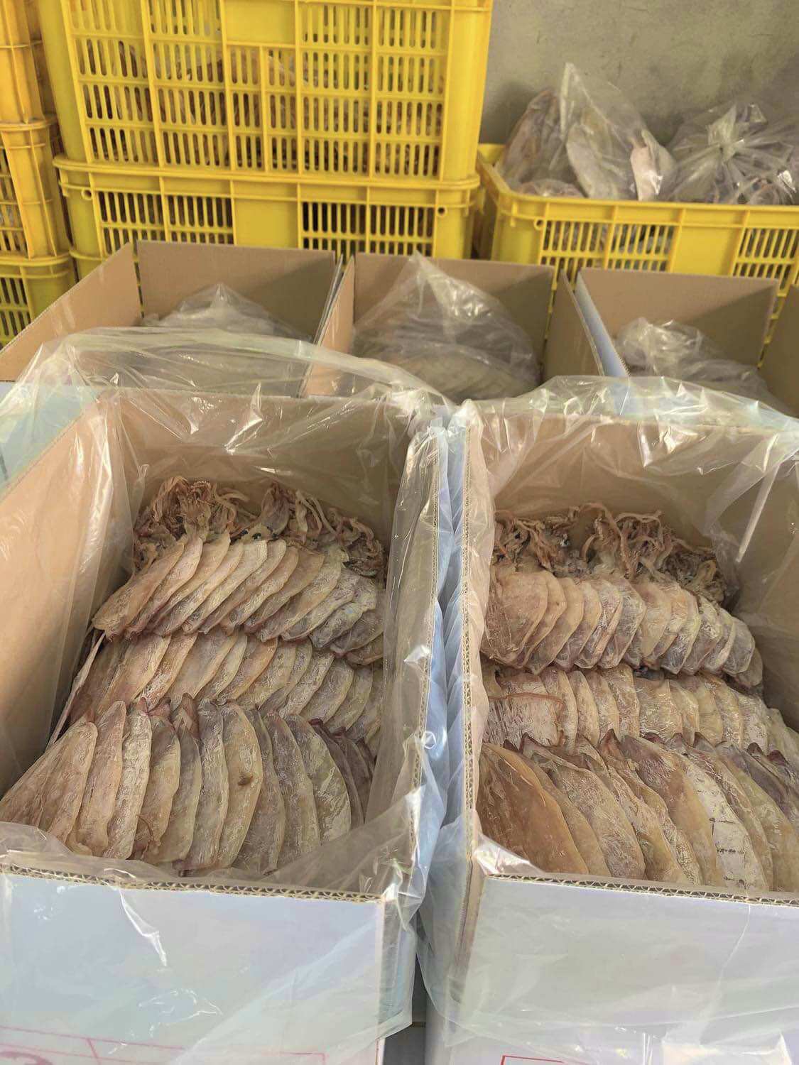 Khô mực ống, lá Cà Mau bịch 26-30con/500gram