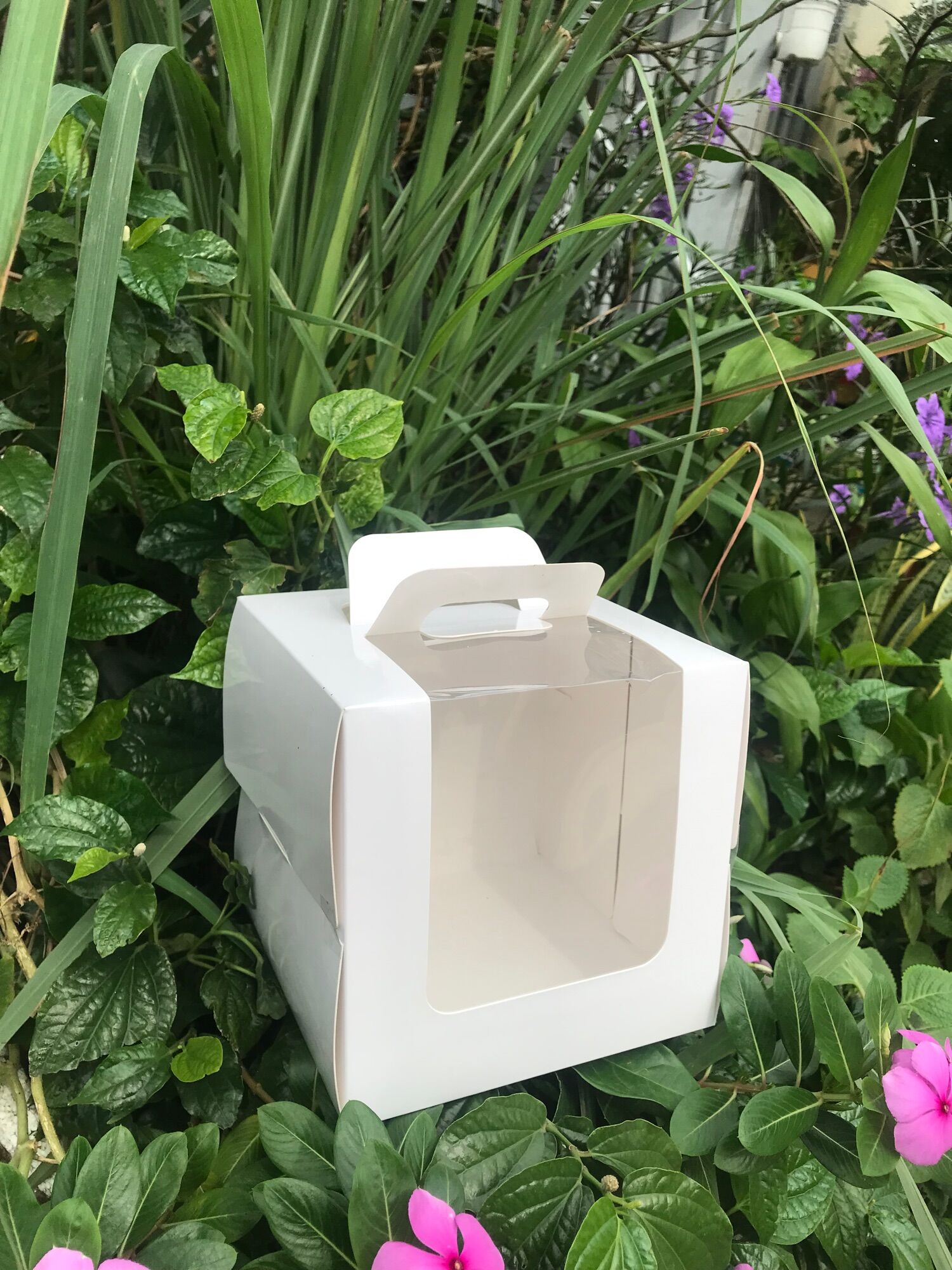 10 hộp bánh sinh nhật size 16x16, hộp đựng bánh bento giá rẻ Hộp bánh Bảo Ngọc
