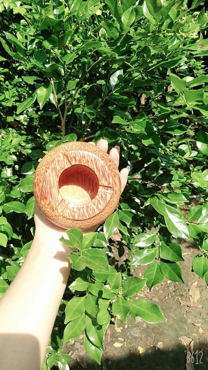 rạt tàn bằng gỗ dừa