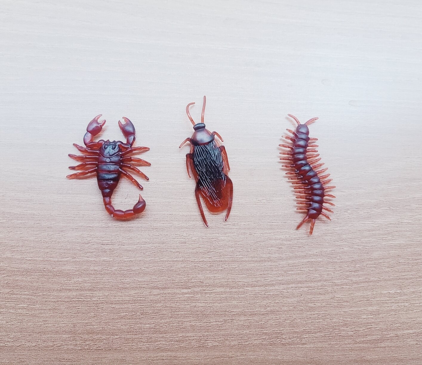 sét 3 con côn trùng giả (gián, rết, bò cạp)