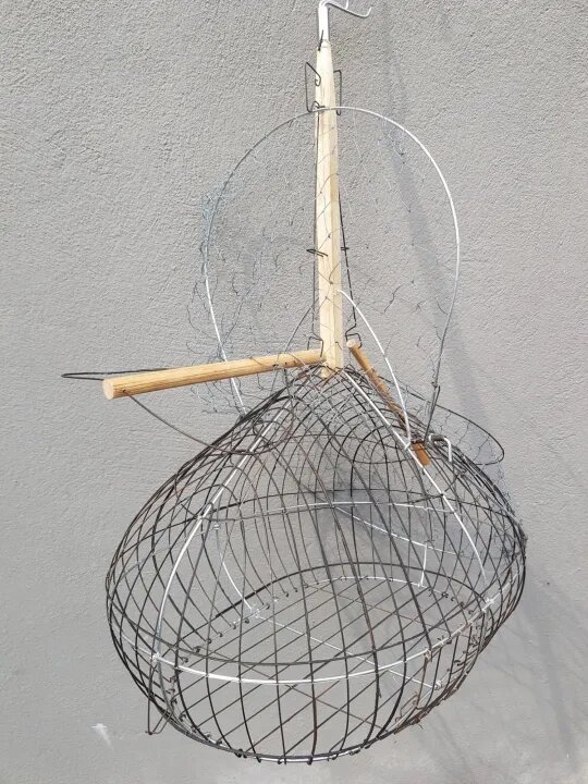 Bẫy chim chào mào giá rẻ tặng 2 cóng