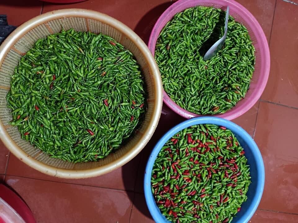 Măng Ngâm Chua Tỏi Ớt