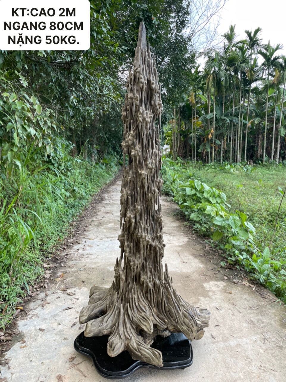 Cây trầm hương nguyên khối