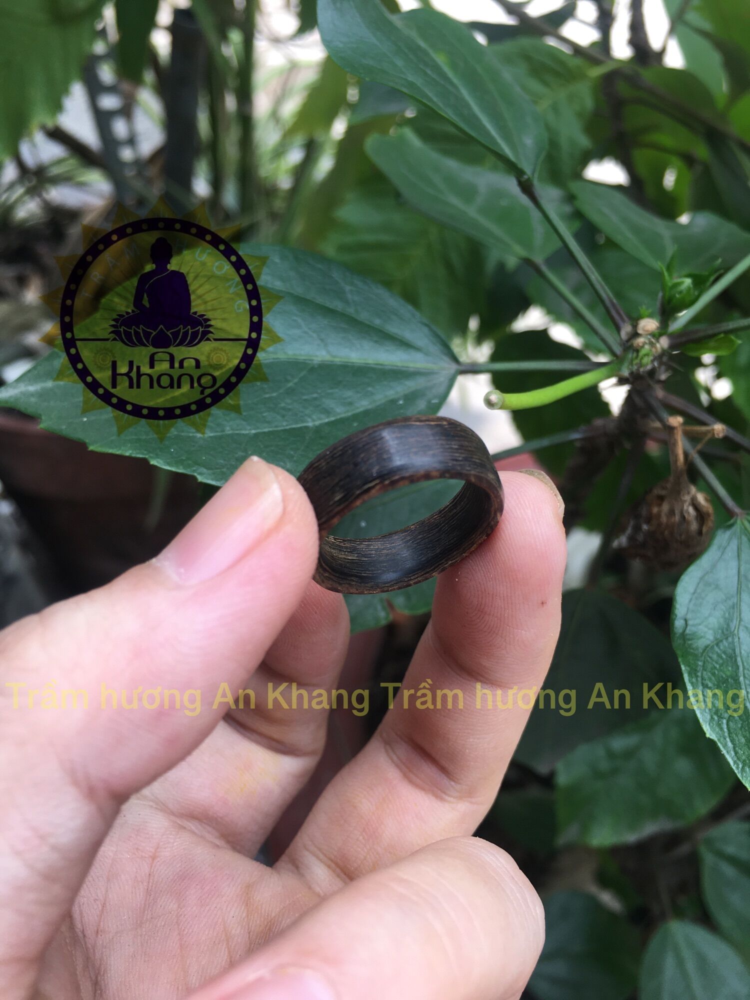 Nhẫn trầm sánh chìm bản nhỏ