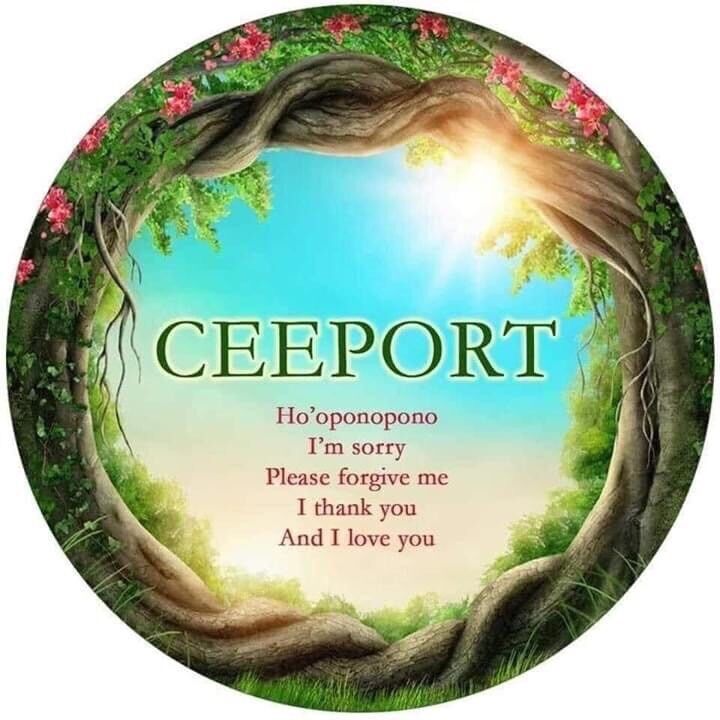Combo 50 logo thanh tẩy ceeport