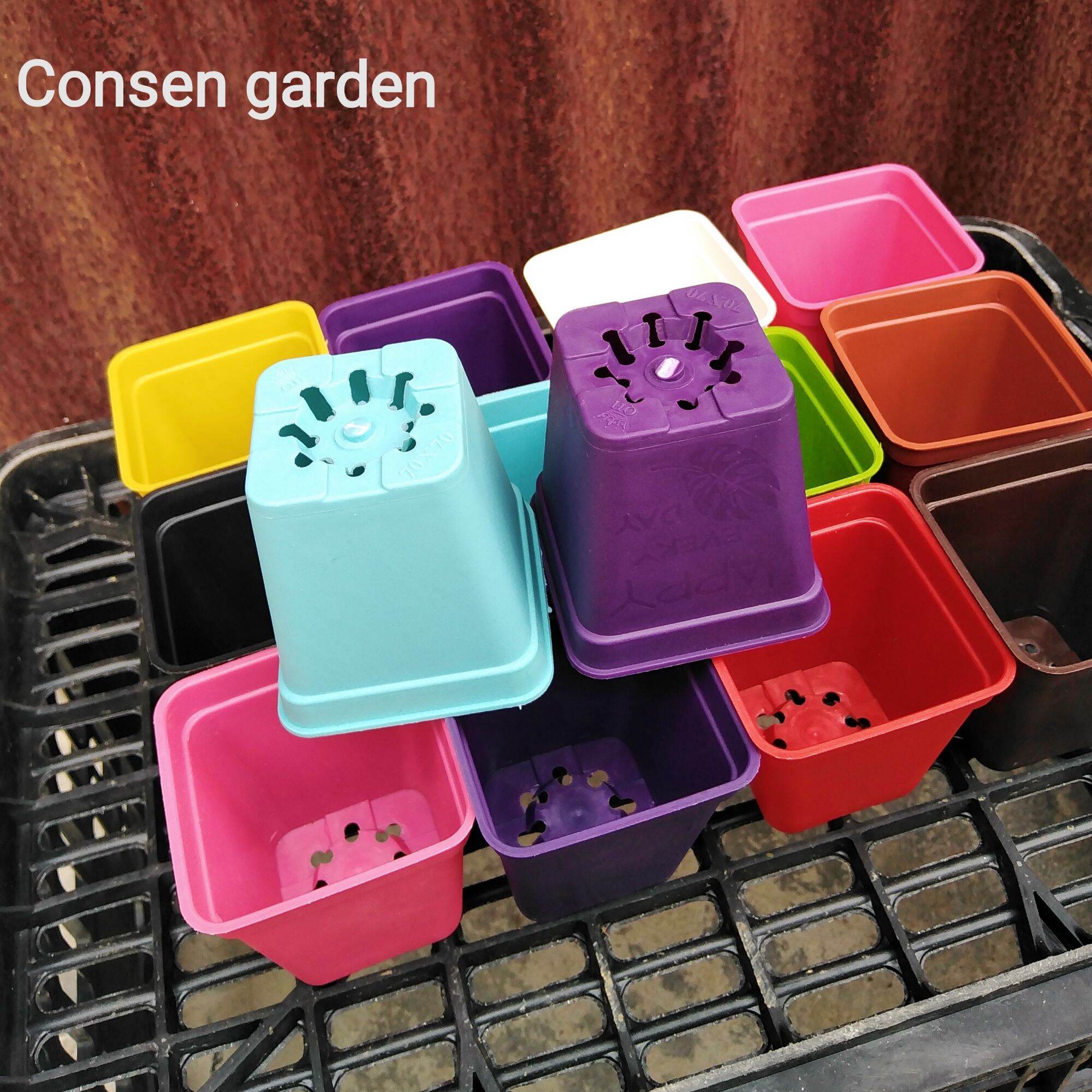Combo 10 Chậu Nhựa 7x7Cm Trồng Sen Đá, Ươm Hạt
