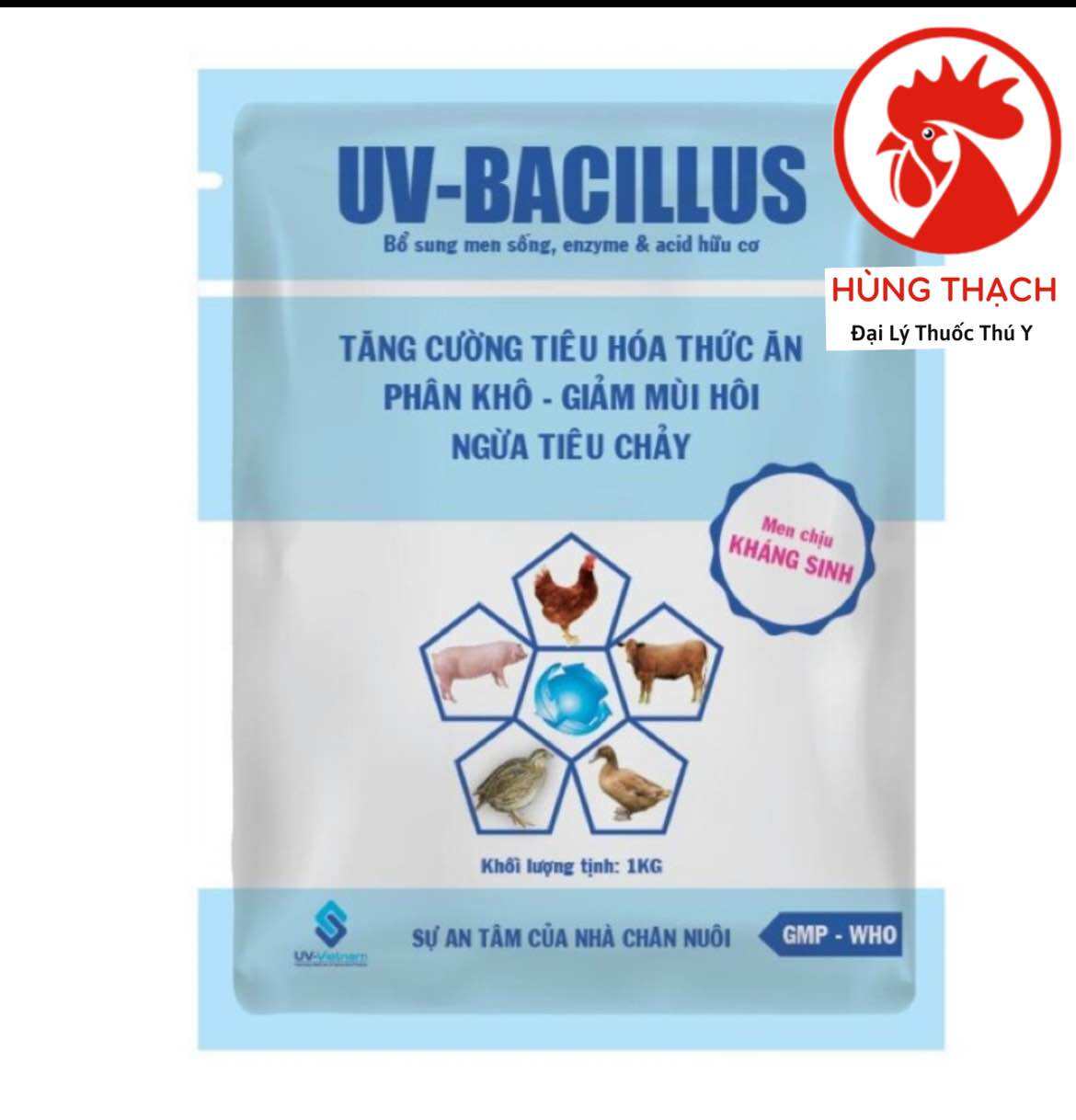 UV BACILLUS 1kg Men tiêu hóa sống giúp tiêu hóa tốt ngừa tiêu chảy.