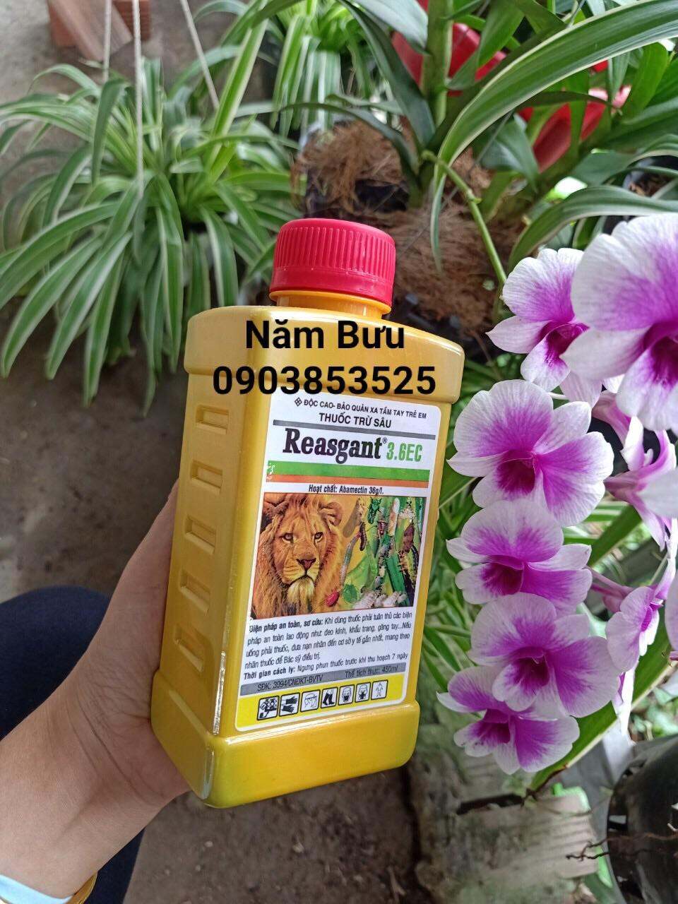 Reasgant 3.6EC Chai 450ml-abamectin 36g/l Thuốc trừ sâu sinh học đa năng trừ bọ trĩ, rầy nâu, sâu xanh