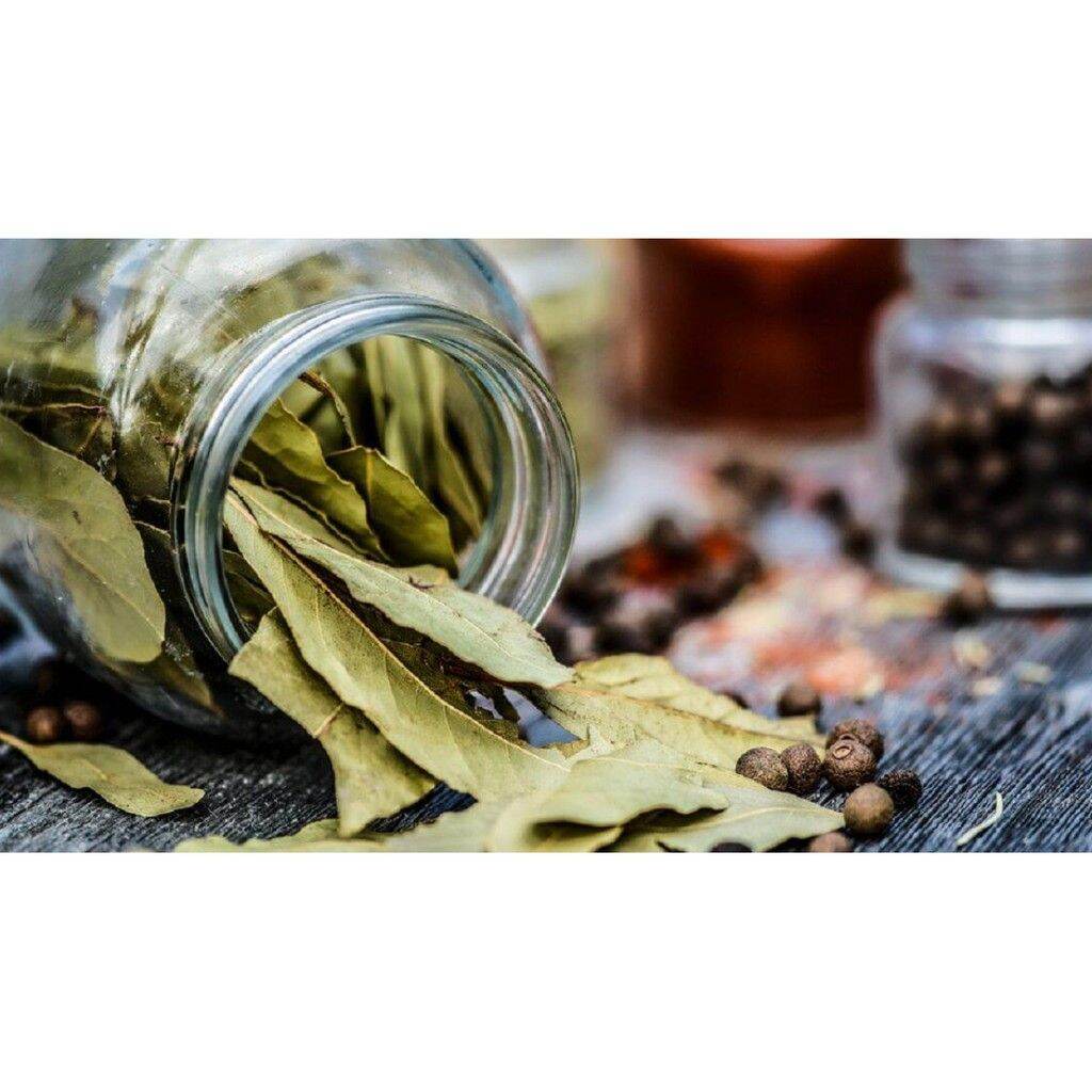 300Gr Lá Nguyệt Quế ( Bay Leaf)