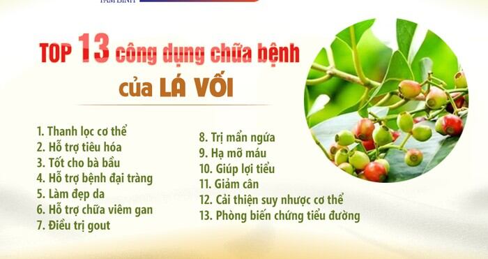 Lá vối nếp 25k 500g