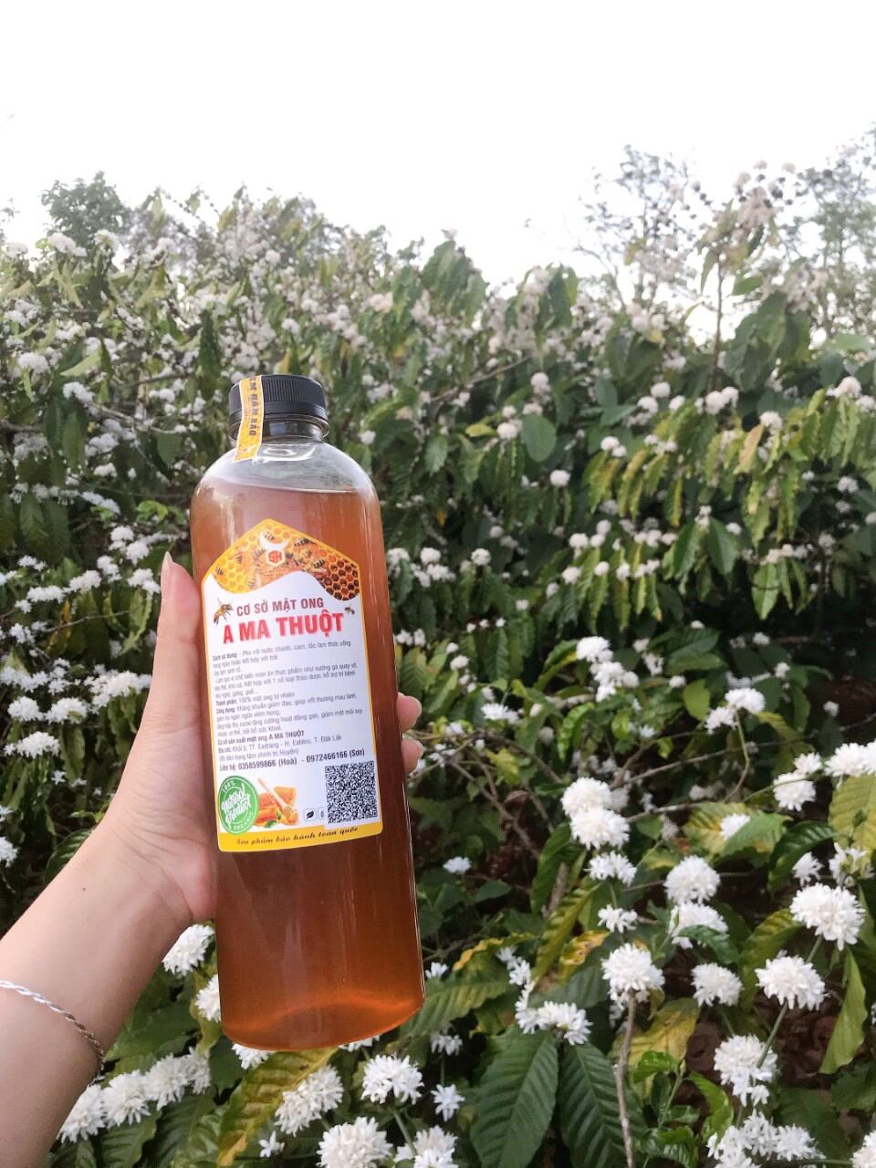 Mật ong nguyên chất hoa cafe, 1 chai 1000ml (đền tiiền gấp 10 lần nếu phát hiện mật giả)