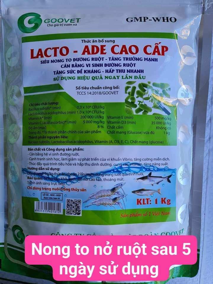 MEN VI SINH NONG TO ĐƯỜNG RUỘT TÔM CÁ