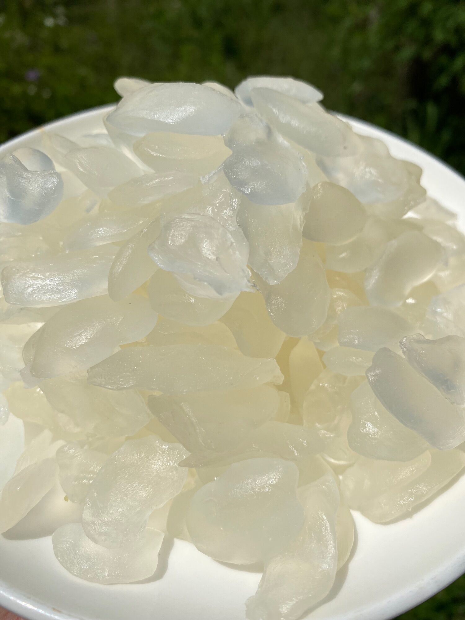 500G Thốt nốt Thái sấy dẻo