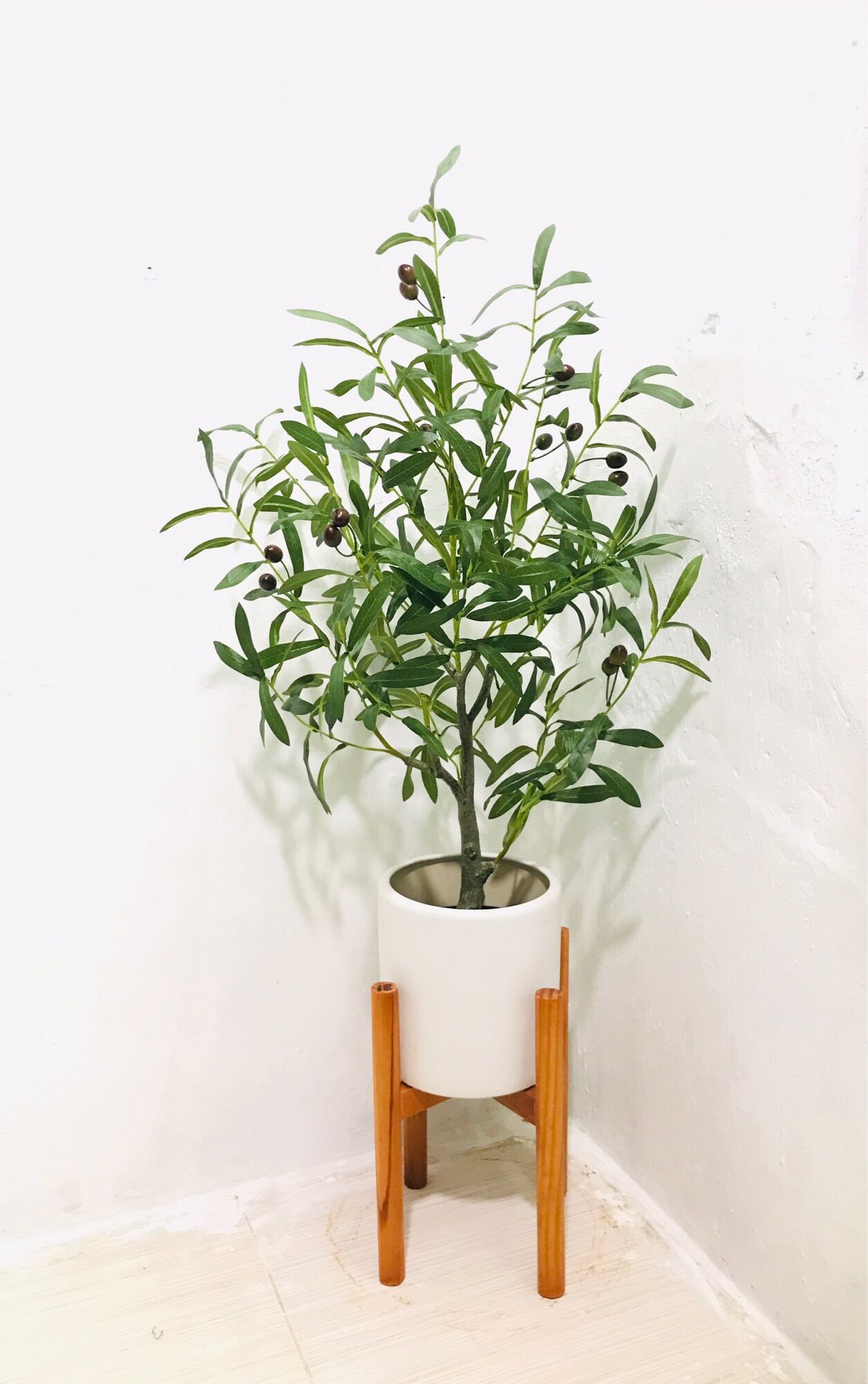 cây oliu - cây ô liu giả 85cm - hằng decor