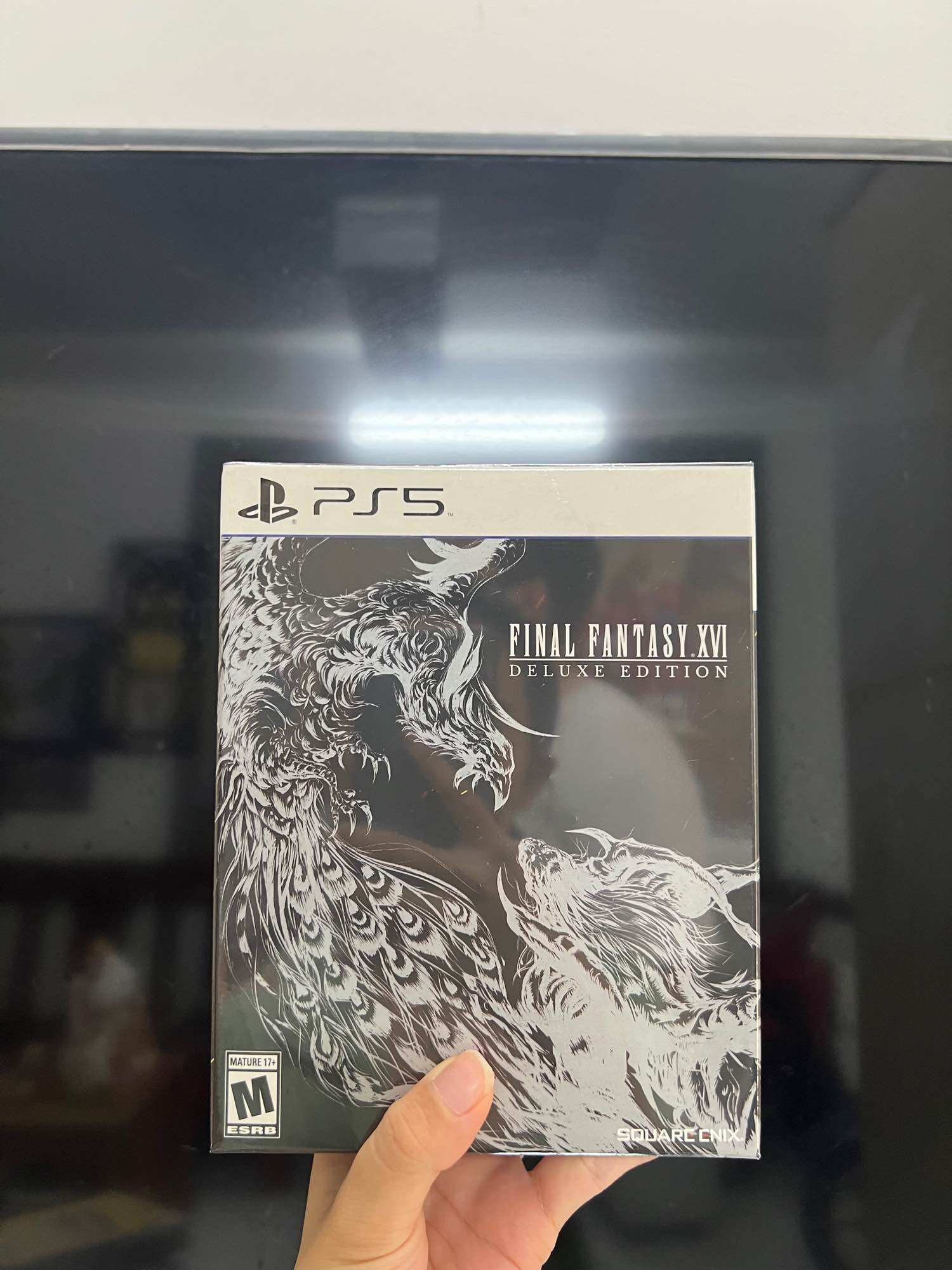 Ps5 Game Disc: Final Fantasy Xvi (16)
