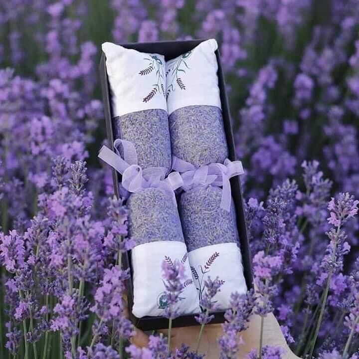 Túi thơm Lavender - Túi hoa khô