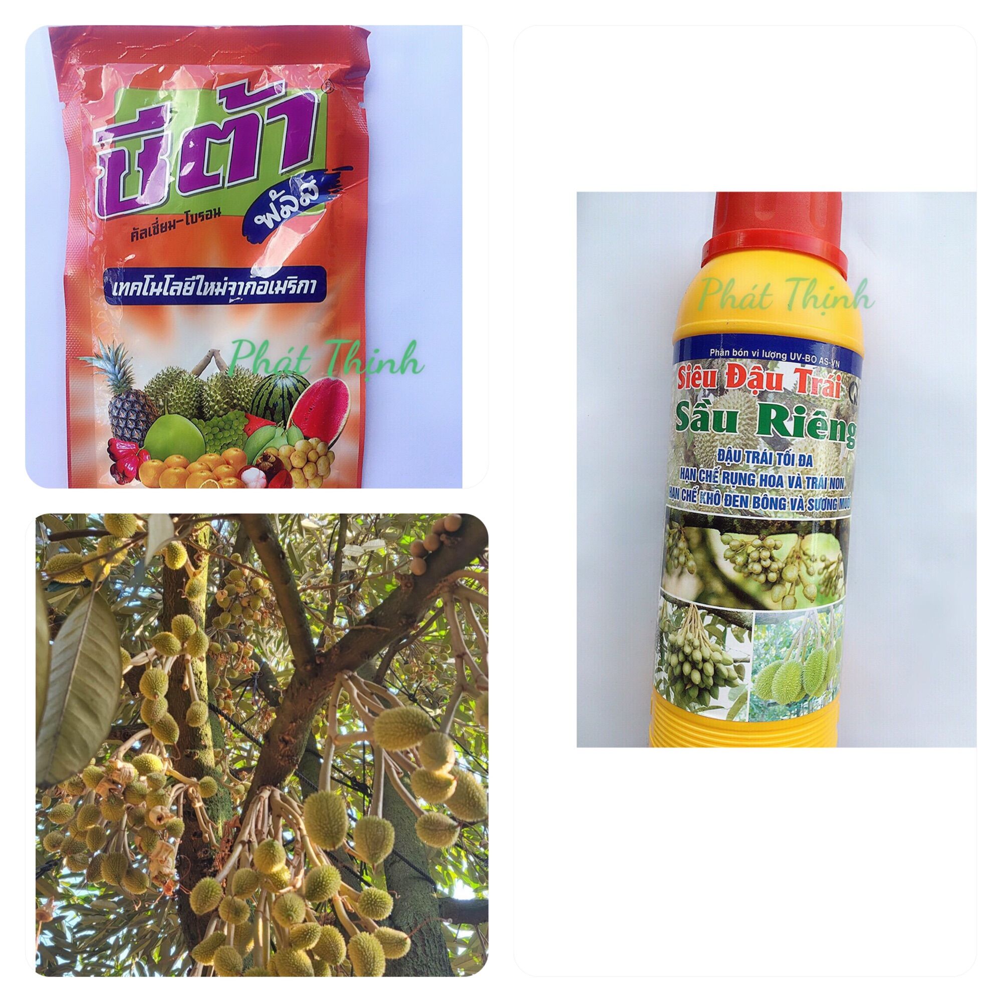 Combo Bộ Siêu Đậu Trái Sầu Riêng pha cho phuy 300 lít nước