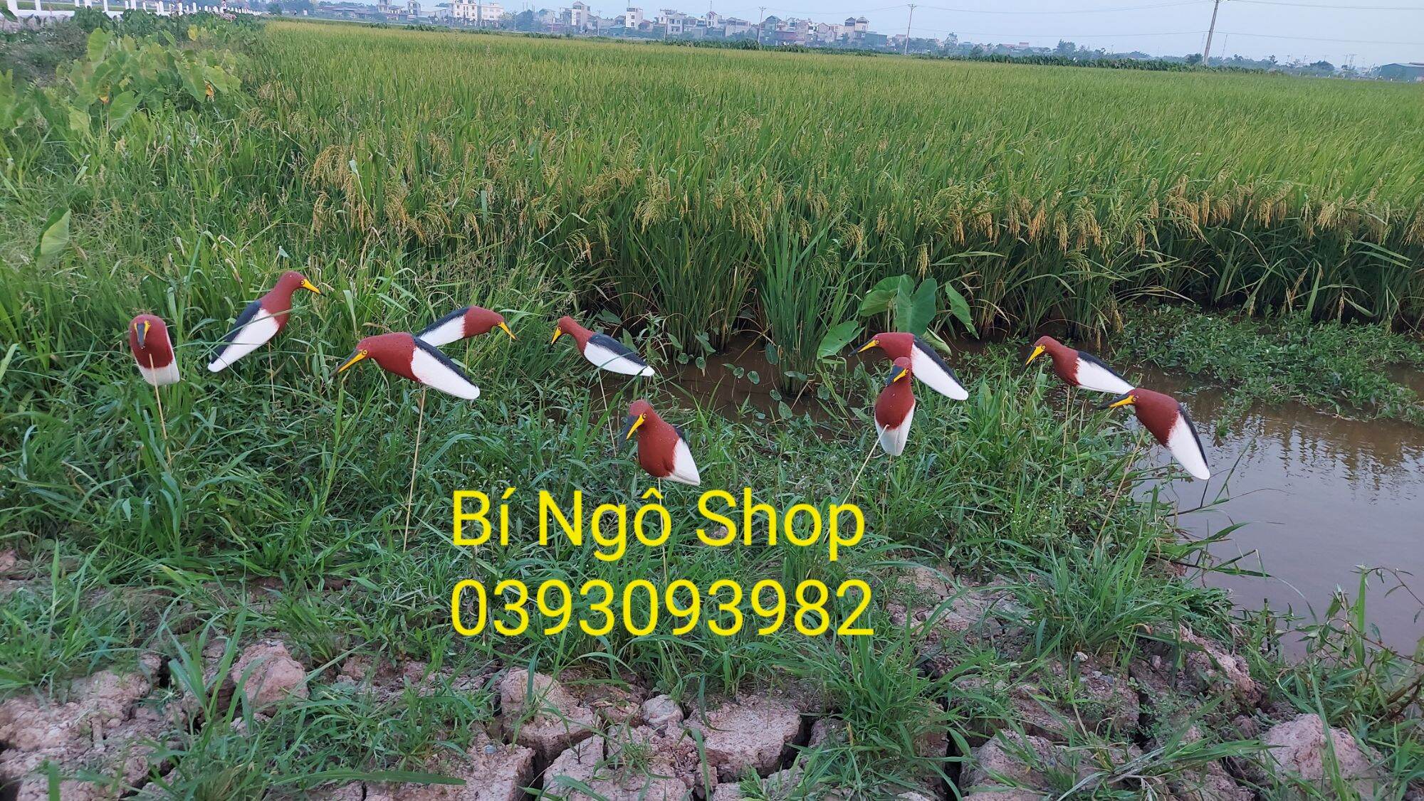 Combo 3 con cò bợ xốp