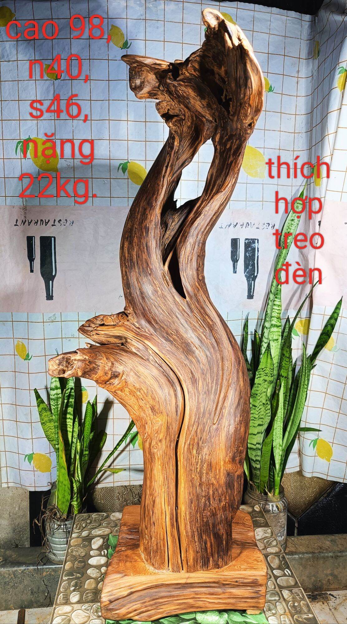 Lũa ngọc am đỏ hà giang, mùi thơm dịu nhẹ