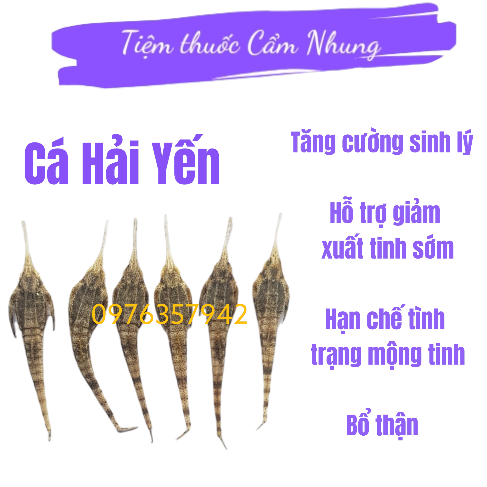 10 con cá hải yến ngâm rịu giúp cải thiện tình trạng xuất sớm, yêu sinh ly