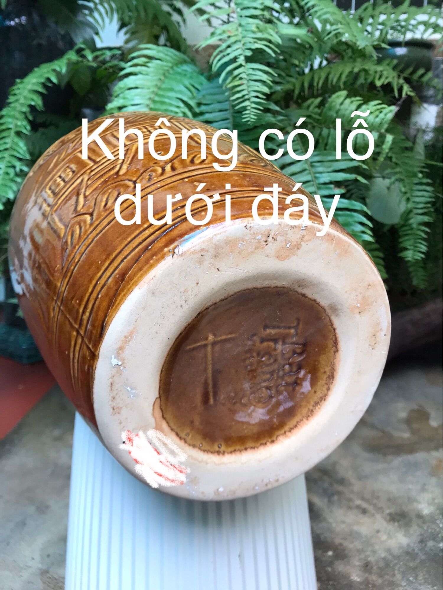 Chậu trồng cây, cắm cành hoa… ghè 8 lít