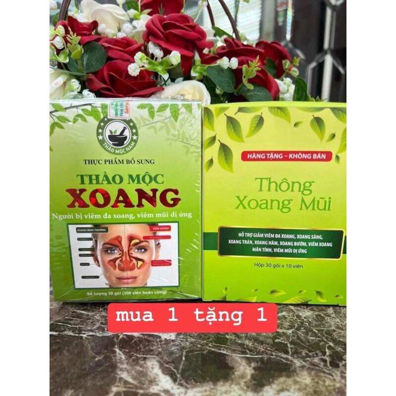 Xoang Thảo Mộc Nam
