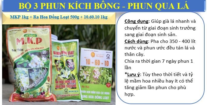 Bộ làm bông mít thái siêu sớm gồm 10-60-10 kết hợp ra hoa đồng loạt và MKP của BIO Japan (thương hiệu quả cầu lửa)