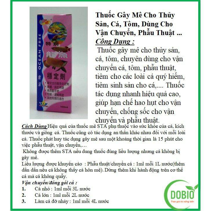Cá rồng số 6 : gây mê , gây mê