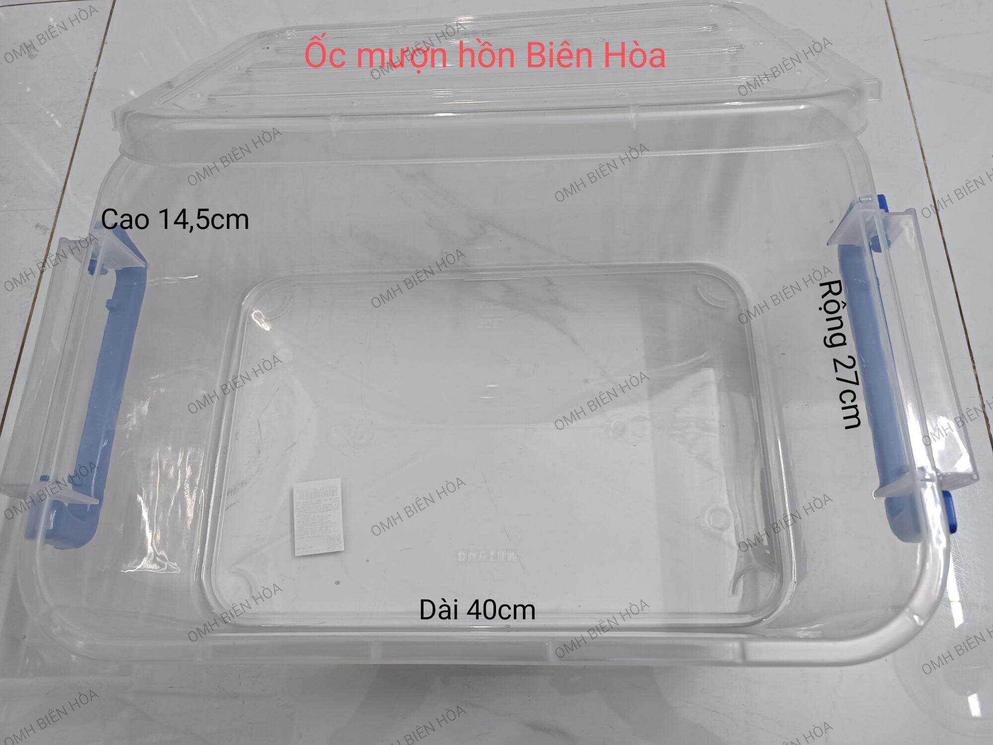 Hộp nhựa có nắp nuôi ốc mượn hồn.Ốc mượn hồn Biên Hòa