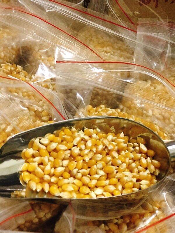 1kg hạt ngô nổ bỏng