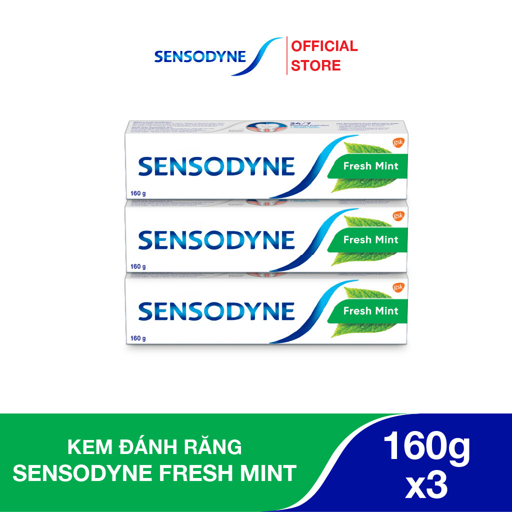 Bộ 3 Kem đánh răng SENSODYNE Fresh Mint 160g giúp giảm ê buốt hiệu quả với hương bạc hà thơm mát