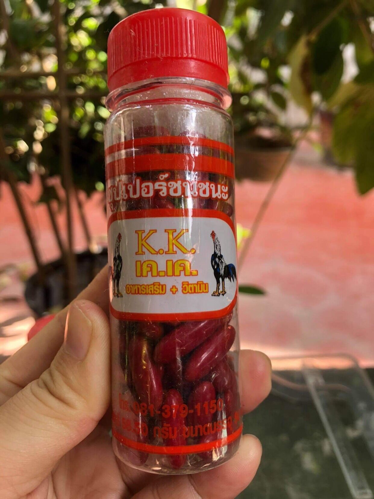 Bổ máu thailand gà đá