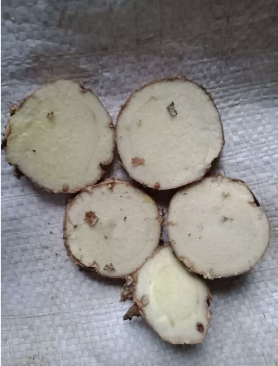 Nghệ đen và nghệ trắng tươi 1kg