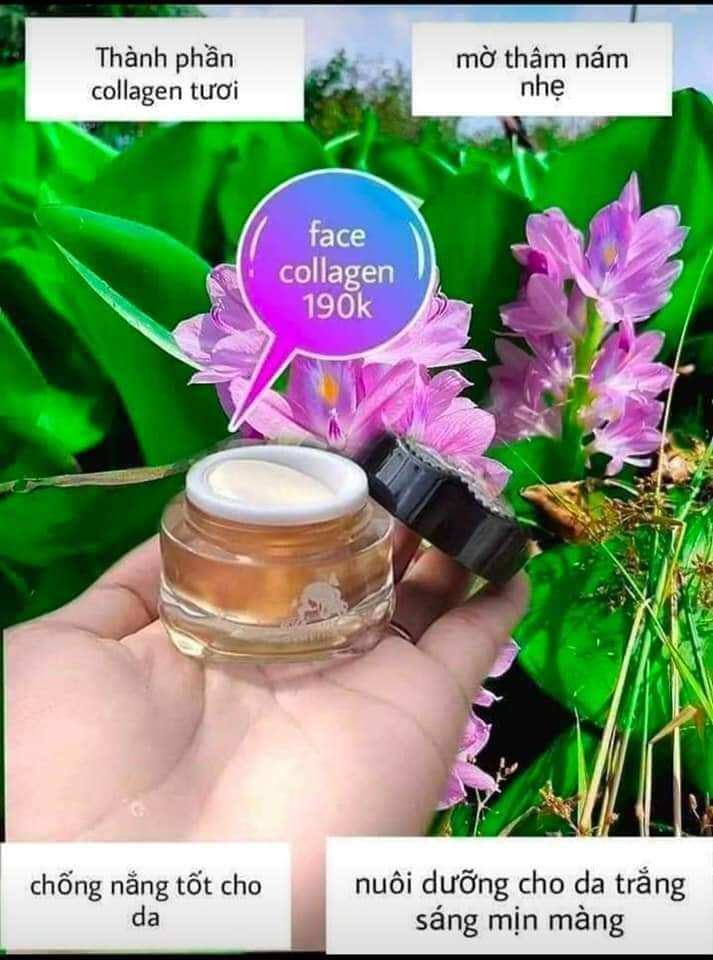 Kem face trắng da jenlly