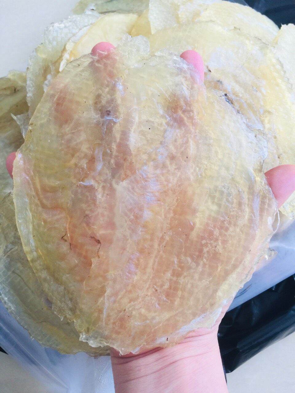 1 con cá bò khô - Hải sản Hạ Long