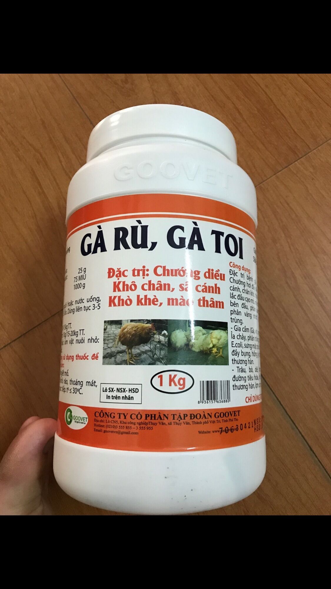 GÀ RÙ, GÀ TOI