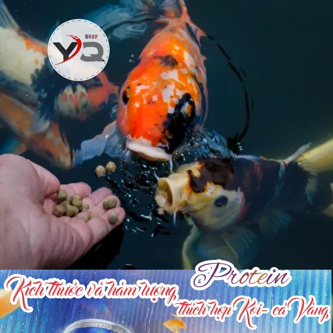Cám cá Koi, cá Vàng SeaMaster || Túi 1Kg