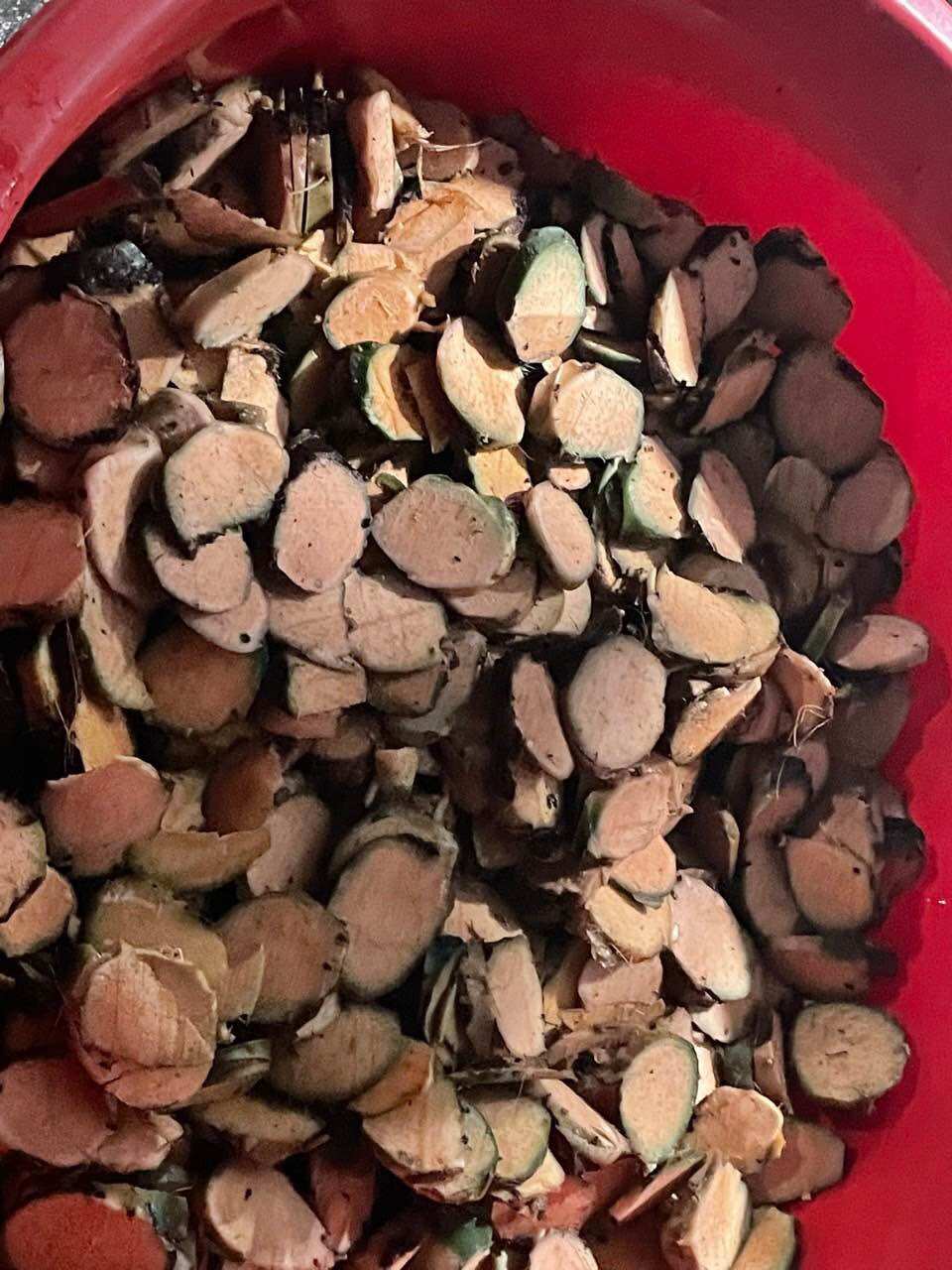 Củ móp gai tươi lâu năm combo 5kg