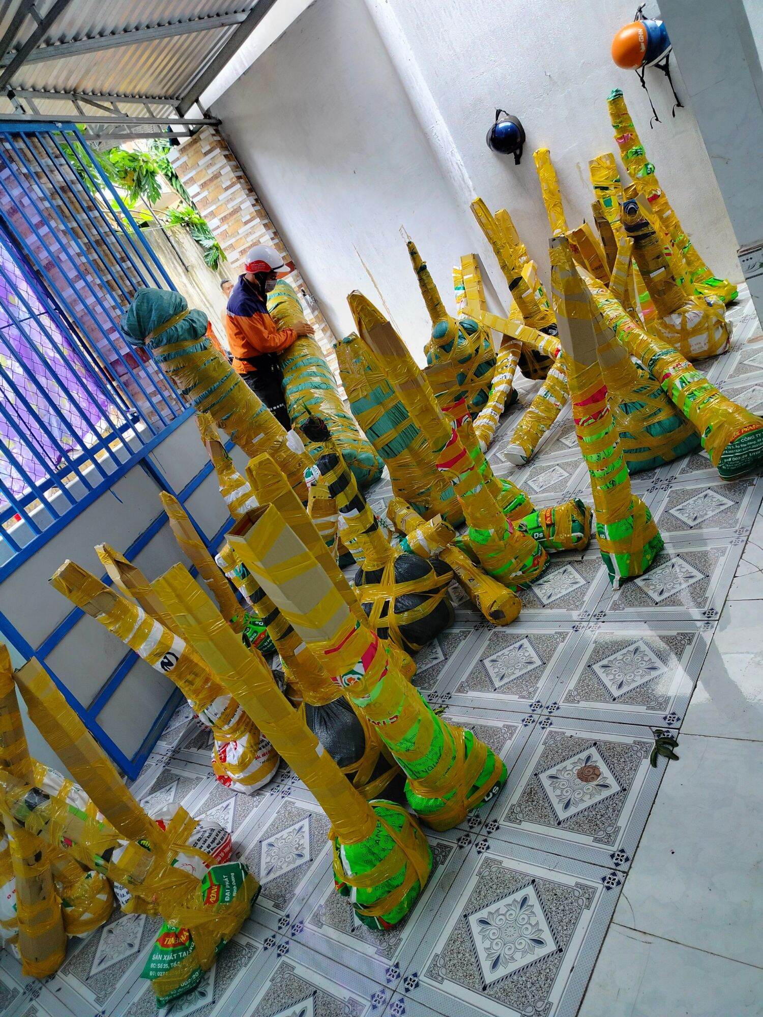 Mai cao 1,2 mét trở lên( 10 cây)