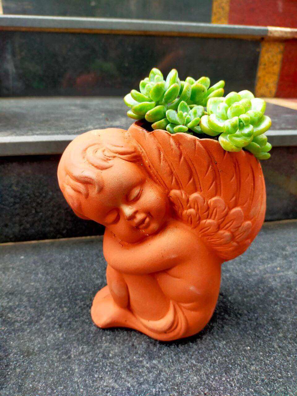 Chậu đất nung Bình Dương dáng thiên thần