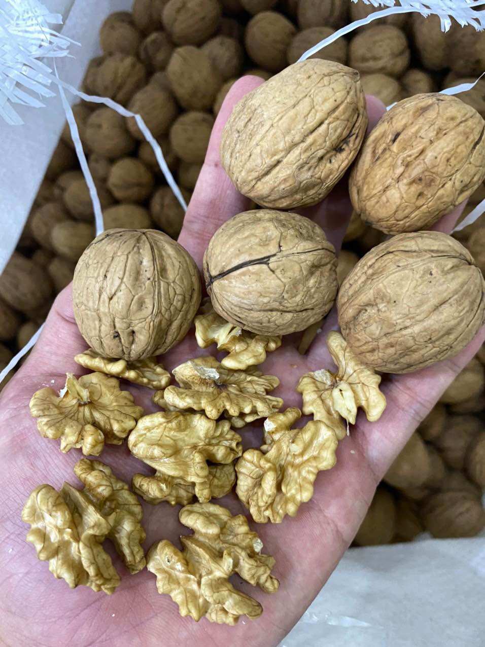 500g hạt óc chó mỹ còn vỏ