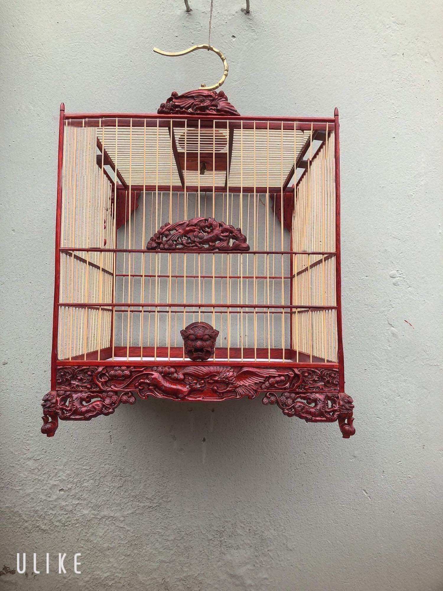 Khung tự ráp lồng chim chào mào đẹp giá rẻ
