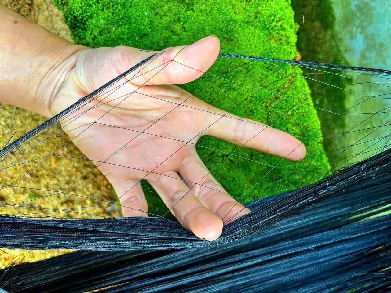 10 cung bẫy chim cút