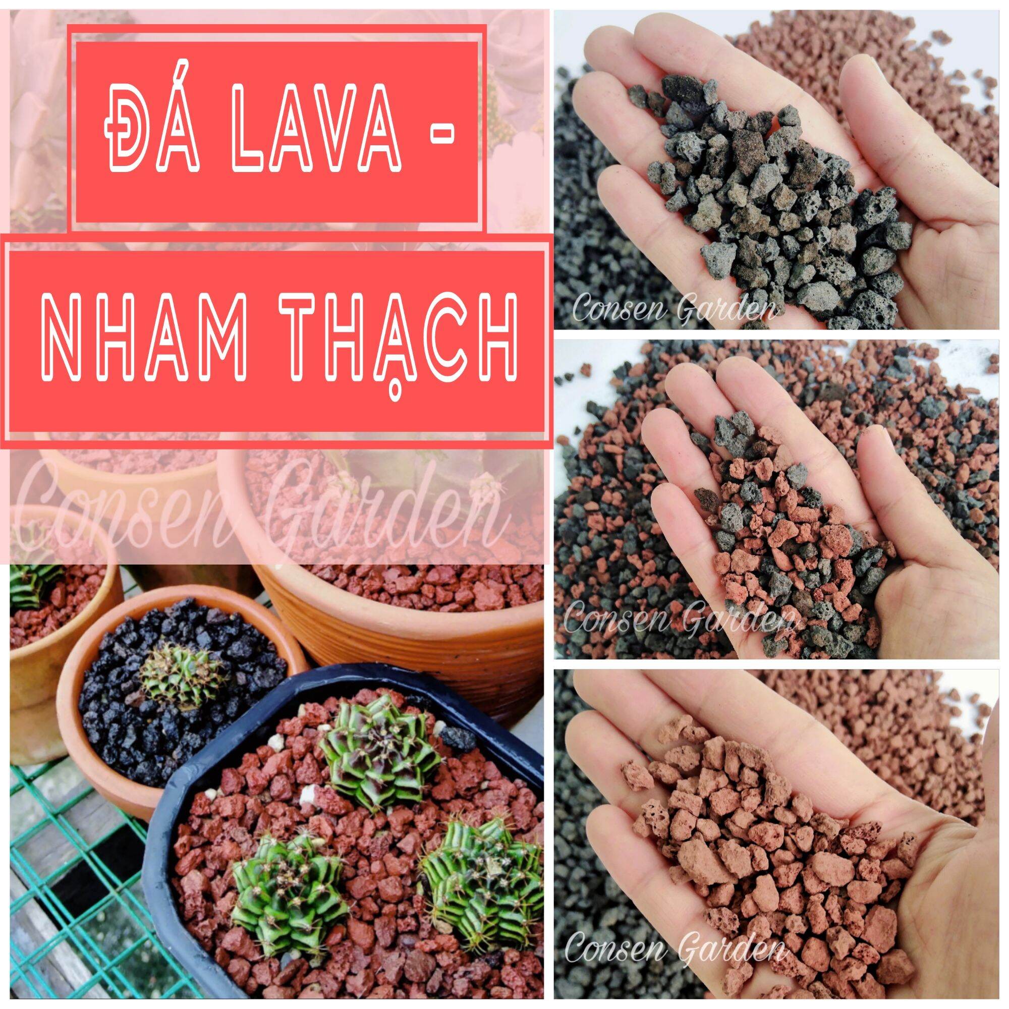 Đá Nham Thạch/ Đá Lava Giá Thể Trồng Sen Đá Xương Rồng - Đá Rãi Mặt Chậu Size 3-6mm