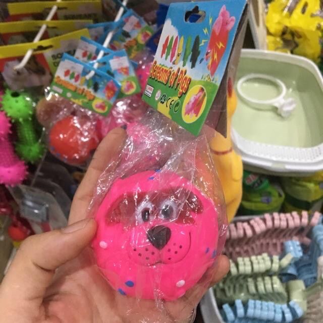 Đồ chơi chó mèo đồng giá