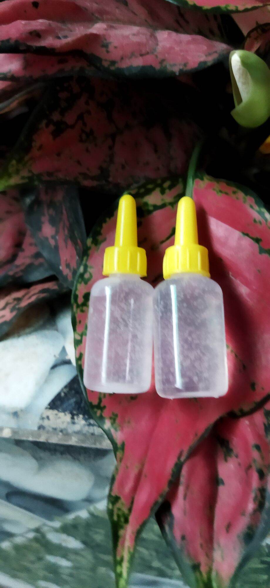 Huyết thanh truyền trắng lọ 10 ml ( dùng để trộn vào kem body để tăng khả năng làm trắng da)