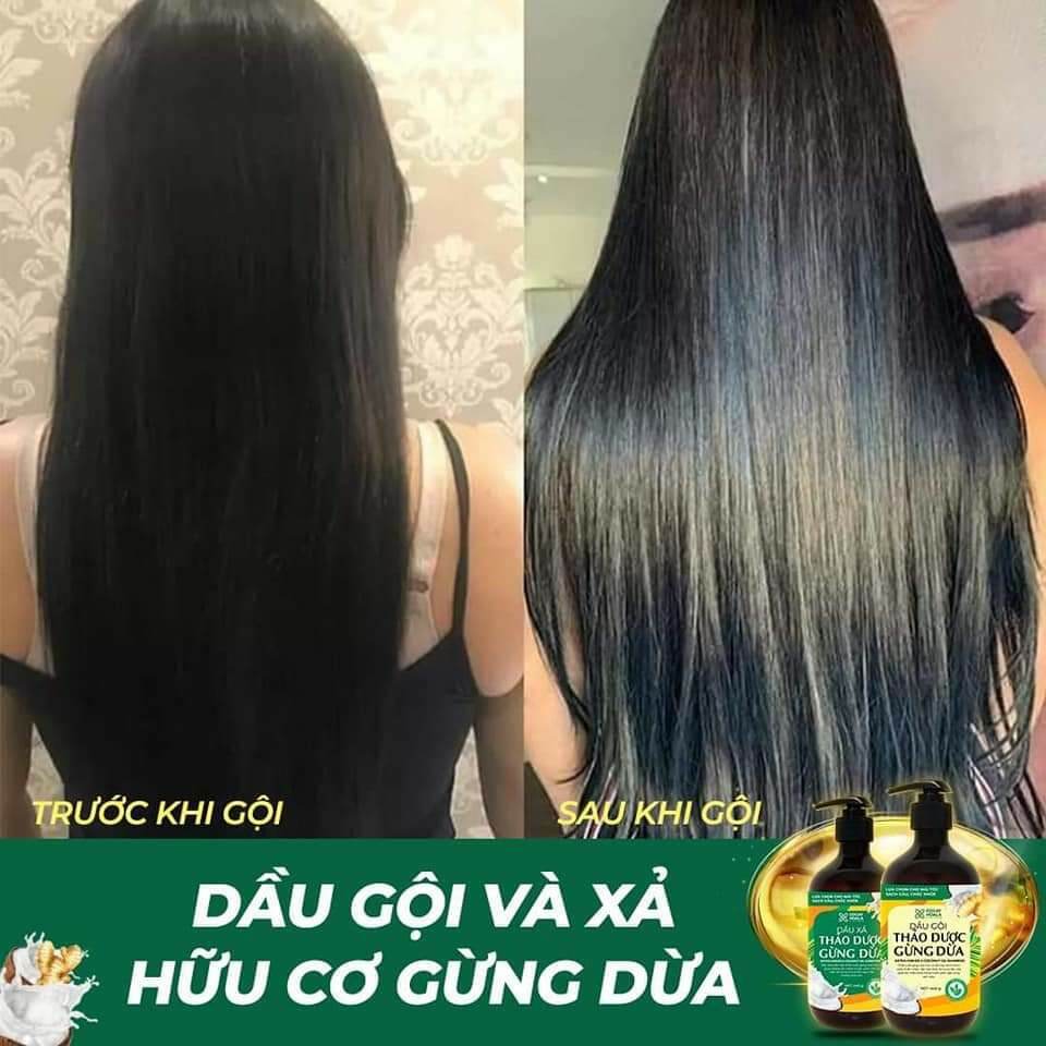 Combo Dầu Gội - Xả Thảo Dược Gừng Dừa