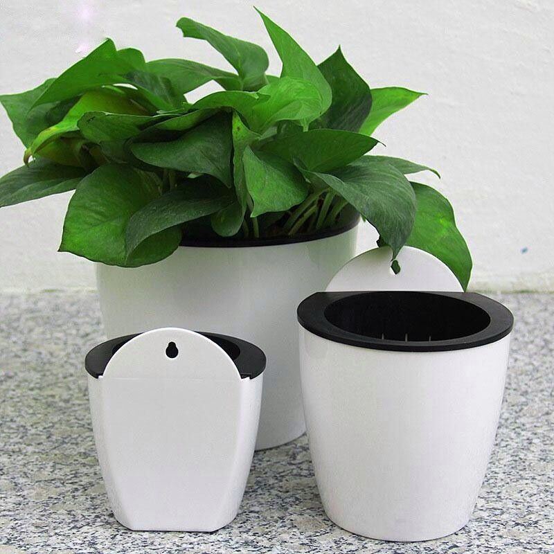 Chậu cây tự tưới nước, chậu tự dưỡng ốp tường 19x16cm