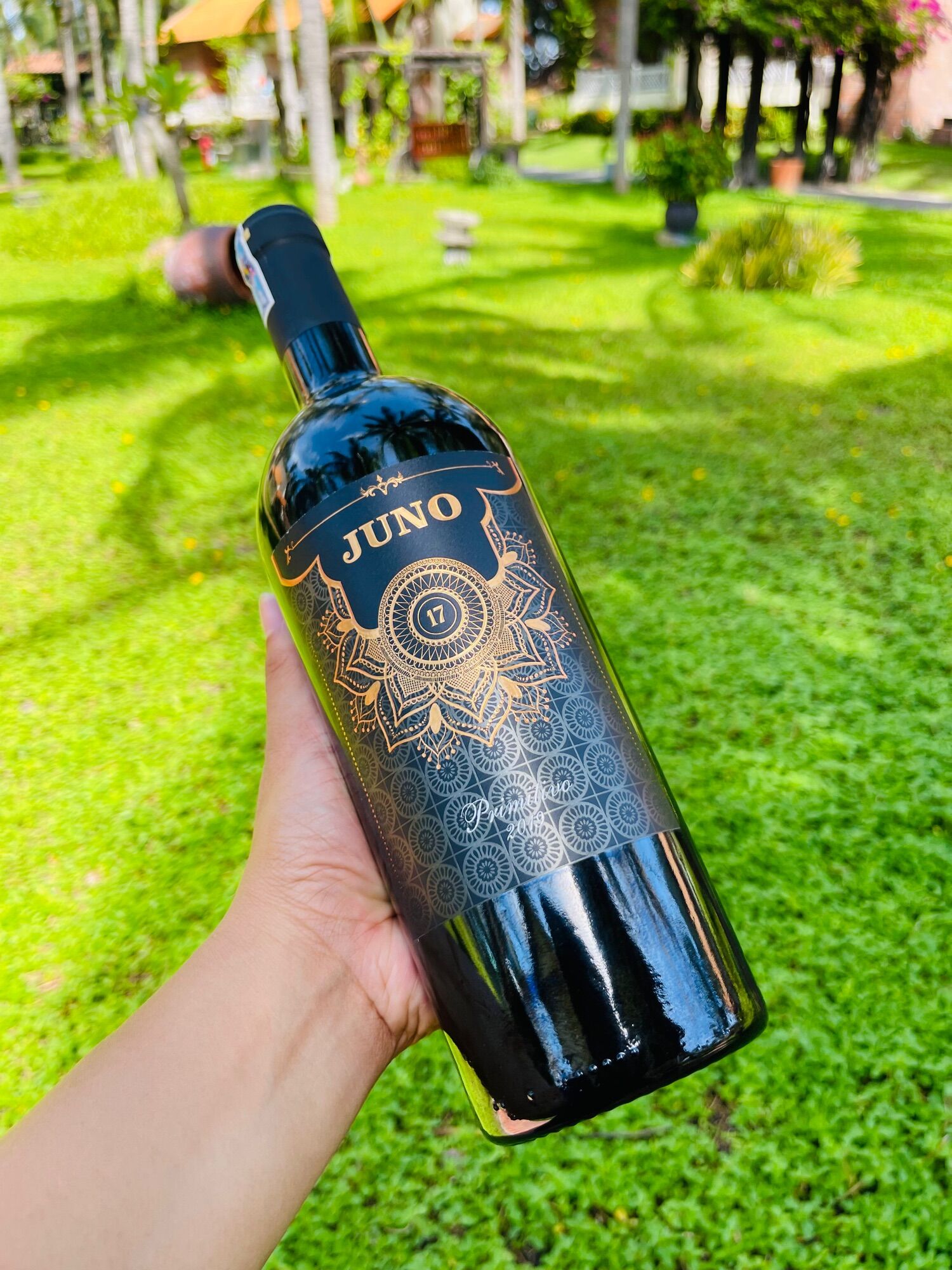 Vang đỏ nhập khẩu Ý Juno 17 Primitivo