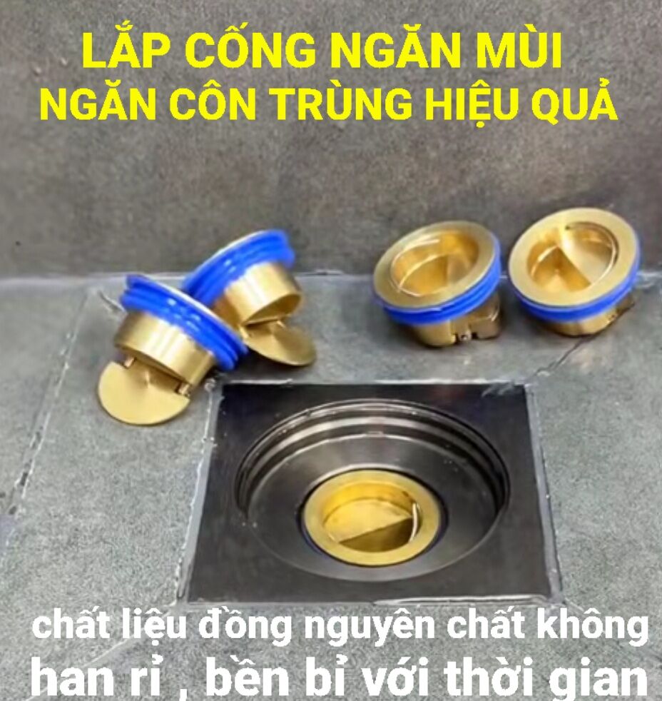 Nắp ngăn mùi cống, lắp ngăn mùi thoát sàn nhà vệ sinh